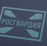 За неделю Росгвардейцы изъяли у граждан 21 единицу оружия - Росгвардия