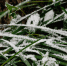 Фото: ПАИ - InformPskov.Ru
