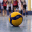 Фото: группа Pskov Volleyball Club в соцсети «ВКонтакте» - InformPskov.Ru