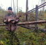 Фото здесь и далее: Центр защиты леса Новгородской области - InformPskov.Ru