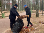 Более ста человек приняли участие в субботнике в Пушкинских Горах