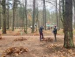 Более ста человек приняли участие в субботнике в Пушкинских Горах