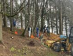 Более ста человек приняли участие в субботнике в Пушкинских Горах