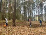Более ста человек приняли участие в субботнике в Пушкинских Горах