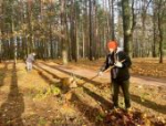 Более ста человек приняли участие в субботнике в Пушкинских Горах
