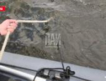 В Порховском районе спасатели ищут пропавшего в озере мужчину