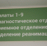Фото: ПАИ - InformPskov.Ru