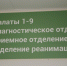 Псковские пульмонологи проведут прием в Великих Луках 16 ноября - Псковская правда