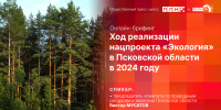 Начинается видеотрансляция онлайн-брифинга о реализации нацпроекта «Экология» в регионе - Pln-Pskov.Ru