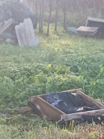 Медведь разорил 7 ульев в Островском районе. ФОТО