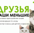 Выставка бездомных животных пройдет в Fjord Plaza - Pln-Pskov.Ru