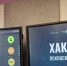 Проекты благоустройства для округов представили на «Хакатоне» в Пскове  - Pln-Pskov.Ru