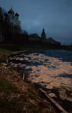 Фото: Дмитрий Кравец