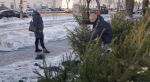 В Пскове определили места для ёлочных базаров