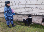 Псковский кинолог с собакой Гепард провели рейд по обнаружению взрывчатых веществ