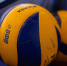 Псковичи участвуют в первенстве СЗФО по волейболу. Фото: группа Pskov volleyball club в соцсети «ВКонтакте» - InformPskov.Ru