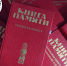 Волонтёры Победы завершили работу по оцифровке региональной «Книги памяти». Фото: «Волонтёры Победы. Псковская область» в соцсети «ВКонтакте» - InformPskov.Ru