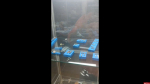 Выставку археологических находок готовят к открытию в Пскове. ВИДЕО