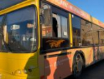 Два брендированных автобуса будут курсировать в Пскове в честь Дня добровольца