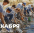Поздравление Министра просвещения РФ Сергея Кравцова с Днем добровольца (волонтера)                      - Комитет по образованию Псковской области