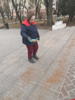 В Великих Луках коммунальные службы борются с ледяным дождём