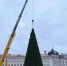 Новогоднюю ёлку в центре Пскова украсят около 2,5 километров гирлянд. Фото здесь и далее: Telegram-канал Бориса Елкина - InformPskov.Ru