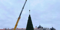 Новогоднюю ёлку в центре Пскова украсят около 2,5 километров гирлянд. Фото здесь и далее: Telegram-канал Бориса Елкина - InformPskov.Ru
