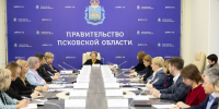 В Псковскую область с начала года в рамках госпрограммы прибыли более 500 человек - Правительство Псковской области