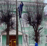 Фото: газета «Гдовская заря» - InformPskov.Ru