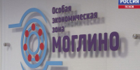 Соотечественникам из Латвии и Германии рассказали о потенциале региона и мерах поддержки для переселенцев - ГТРК Псков