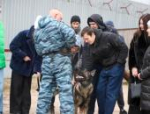 Псковских студентов познакомили с работой служебных собак полиции