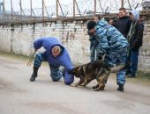 Псковских студентов познакомили с работой служебных собак полиции