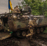 Политолог считает, что скоро украинцев «погонят» из Германии на войну - Pskov.Sm.News