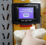 В Госдуму внесли проект о переработке немаркированных товаров - Pln-Pskov.Ru