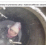 В Псковских пабликах появились фейковые новости о происшествиях - Псковская правда