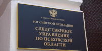 Жительница Печор скрыла факт наличия гражданства Эстонии и понесет наказание - Pln-Pskov.Ru