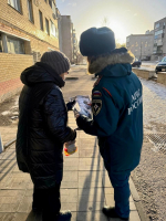 На территории города Великие Луки проведен профилактический     рейд