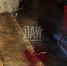 Фото здесь и далее: ПАИ - InformPskov.Ru