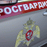 В Пскове сотрудники Росгвардии задержали девушку, подозреваемую в хищении - Росгвардия