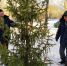 Фото: Luki-News - InformPskov.Ru