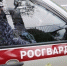 Росгвардейцы задержали псковичку за хищение автотоваров - Pln-Pskov.Ru