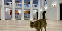 Фото: телеграм-канал Бориса Елкина - InformPskov.Ru