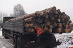Почти 400 гуманитарных выездов организовало в Пскове движение «Мы вместе»