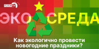«Экосреда»: Экологичный новый год. ВИДЕО - Pln-Pskov.Ru