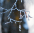 Фото: ПАИ - InformPskov.Ru