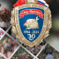 «След пантеры» - InformPskov.Ru