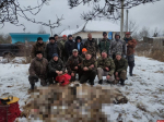 Охотники в Бежаницком районе добыли пять волков за охоту