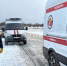 ДТП произошло в деревне Логозовичи в Псковском районе - InformPskov.Ru