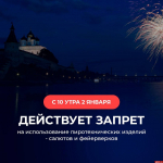 Запуск фейерверков вызывает тревогу у граждан и осложняет работу оперативных служб – Михаил Ведерников