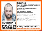 Бородатый мужчина пропал в пушкиногорской деревне Петровское
